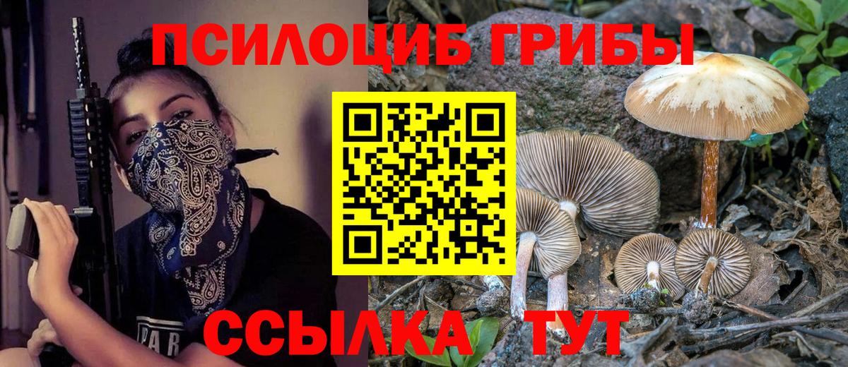 Галлюциногенные грибы мухоморы Касимов